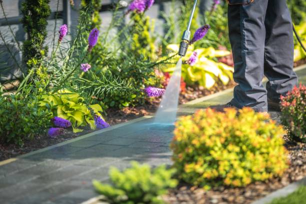 Best Restaurant Pressure Washing  in Zebulon, NC