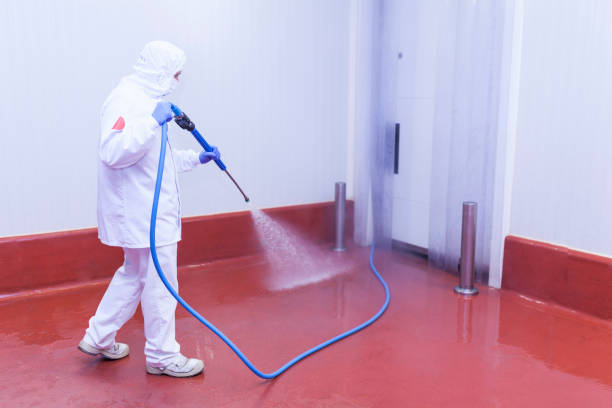 Best Dumpster Area Cleaning  in Zebulon, NC