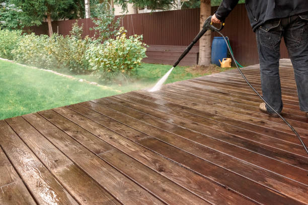 Best Soft Washing  in Zebulon, NC