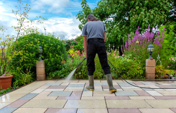 Best Driveway Pressure Washing  in Zebulon, NC